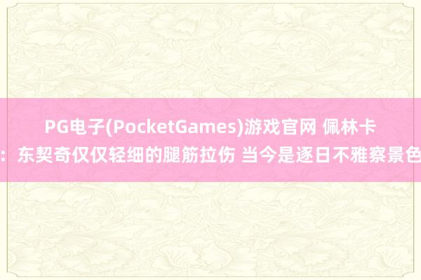 PG电子(PocketGames)游戏官网 佩林卡：东契奇仅仅轻细的腿筋拉伤 当今是逐日不雅察景色