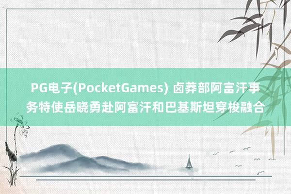 PG电子(PocketGames) 卤莽部阿富汗事务特使岳晓勇赴阿富汗和巴基斯坦穿梭融合