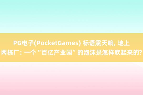 PG电子(PocketGames) 标语震天响, 地上两栋厂: 一个“百亿产业园”的泡沫是怎样吹起来的?