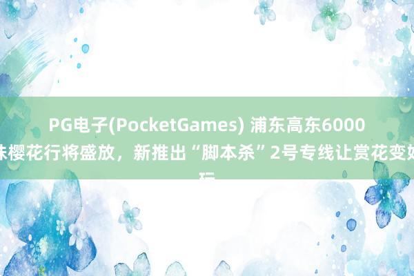 PG电子(PocketGames) 浦东高东6000多株樱花行将盛放，新推出“脚本杀”2号专线让赏花变好玩