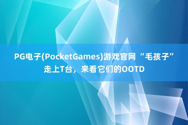 PG电子(PocketGames)游戏官网 “毛孩子”走上T台，来看它们的OOTD