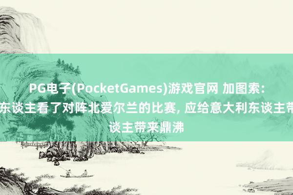 PG电子(PocketGames)游戏官网 加图索: 超千万东谈主看了对阵北爱尔兰的比赛， 应给意大利东谈主带来鼎沸
