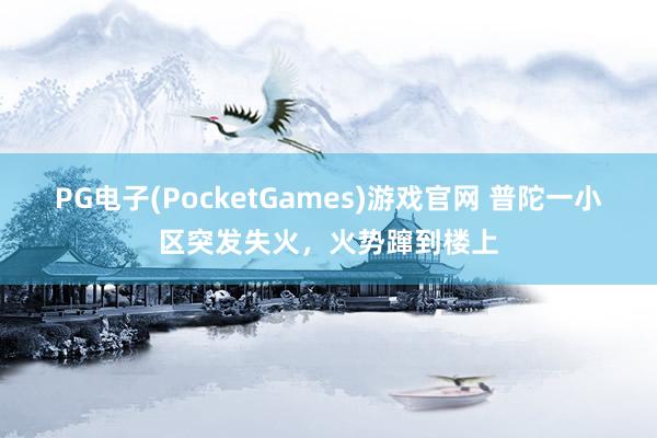 PG电子(PocketGames)游戏官网 普陀一小区突发失火，火势蹿到楼上