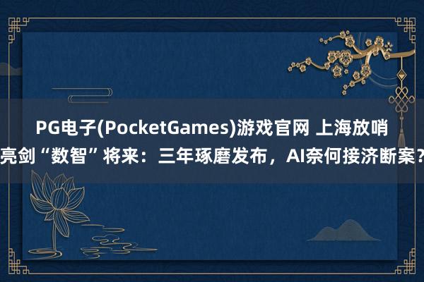 PG电子(PocketGames)游戏官网 上海放哨亮剑“数智”将来：三年琢磨发布，AI奈何接济断案？