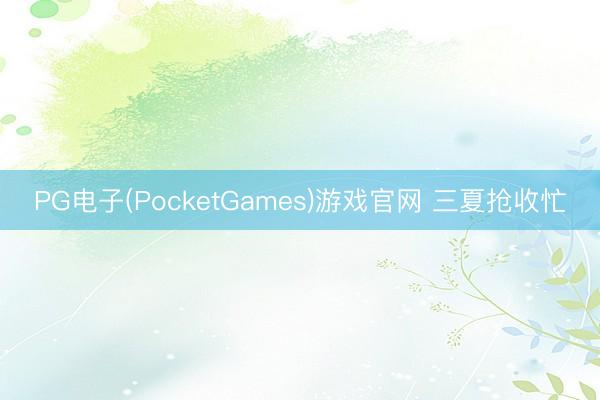 PG电子(PocketGames)游戏官网 三夏抢收忙