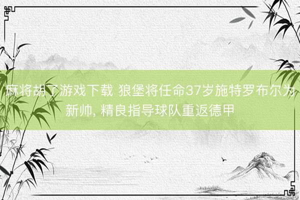 麻将胡了游戏下载 狼堡将任命37岁施特罗布尔为新帅, 精良指