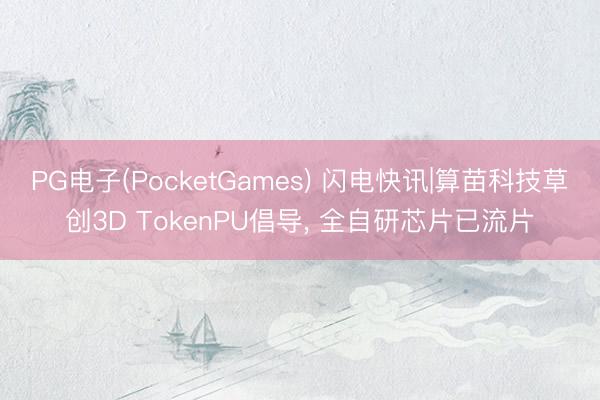 PG电子(PocketGames) 闪电快讯|算苗科技草创3D TokenPU倡导， 全自研芯片已流片